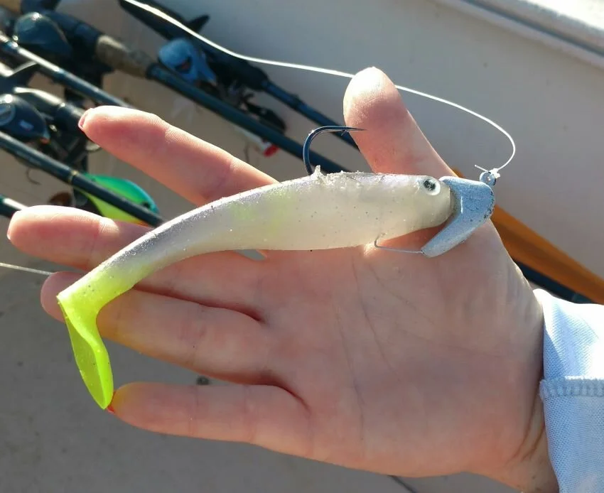 Zoom Swimmer on a heavy leadhead for offshore fishing