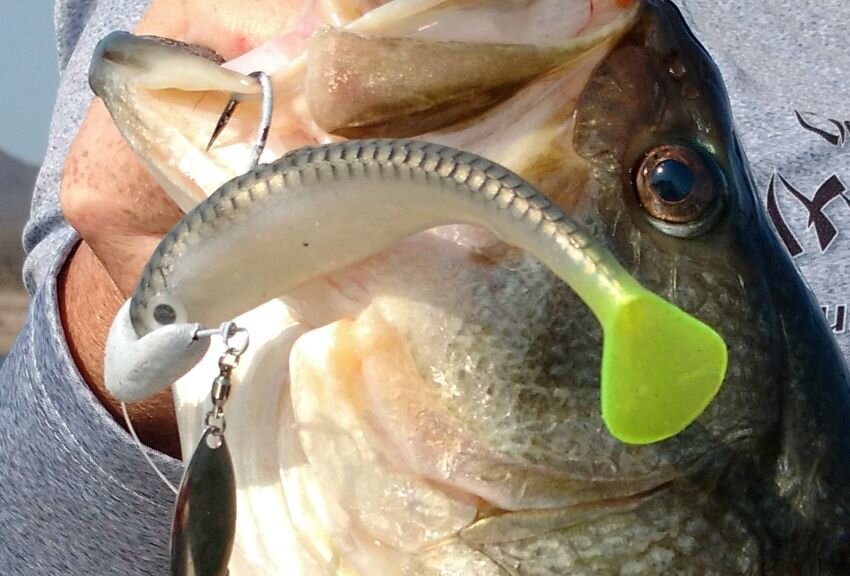 Miscellaneous Terminal Tackle for Mexican Bass Fishing — Half Past
