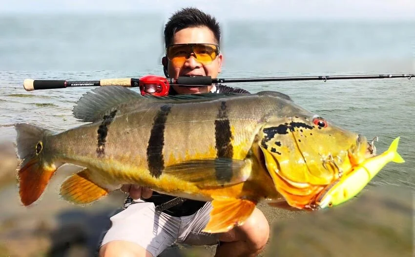 Fishing Singapore With John Tan Of Red Tackle Half Past First Cast