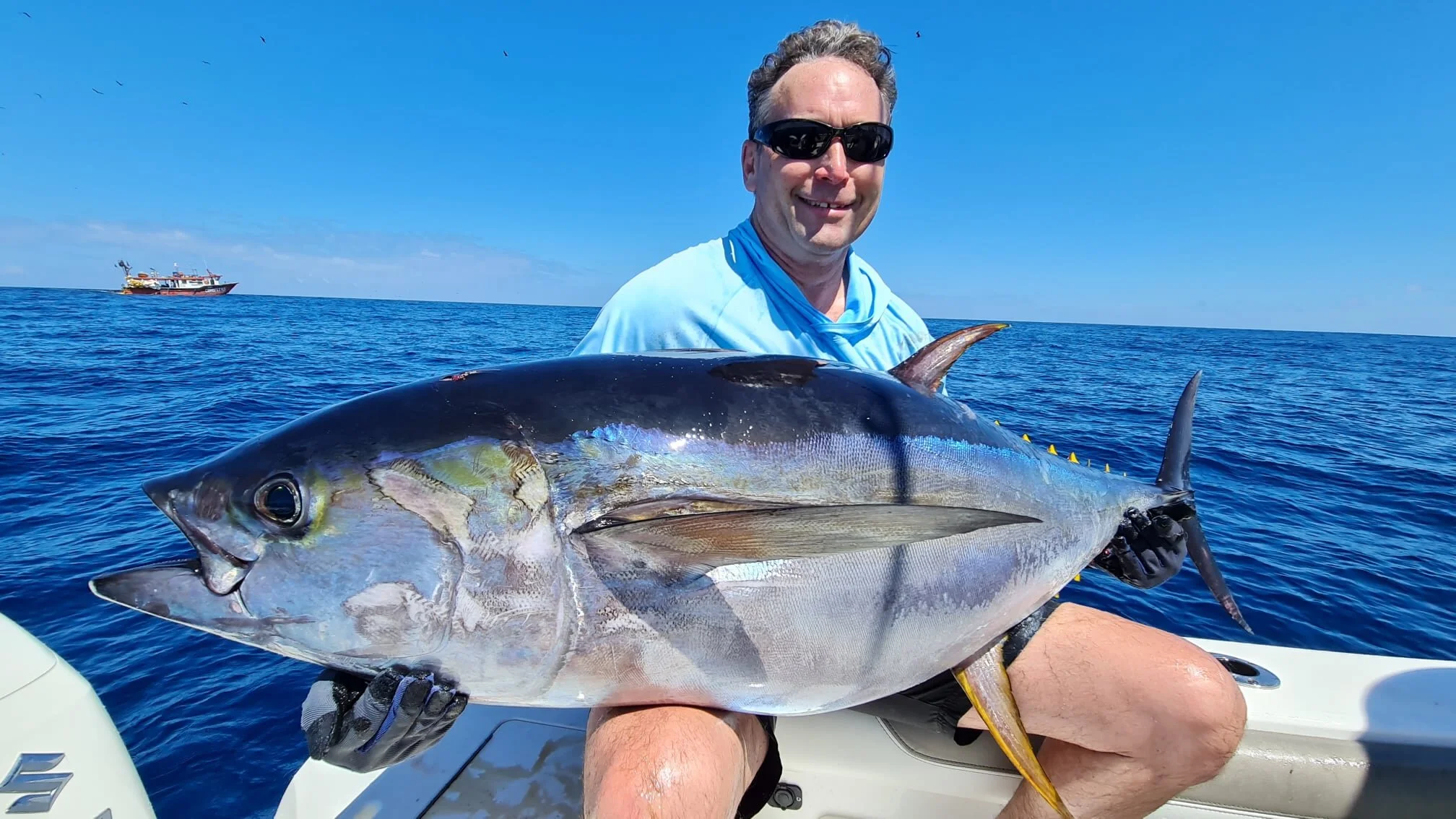 yellowfin tuna in Panama gulf of chiriqui