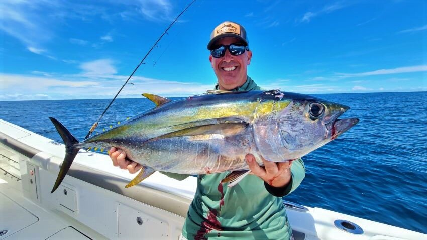 Yellowfin Tuna Fishing Miami