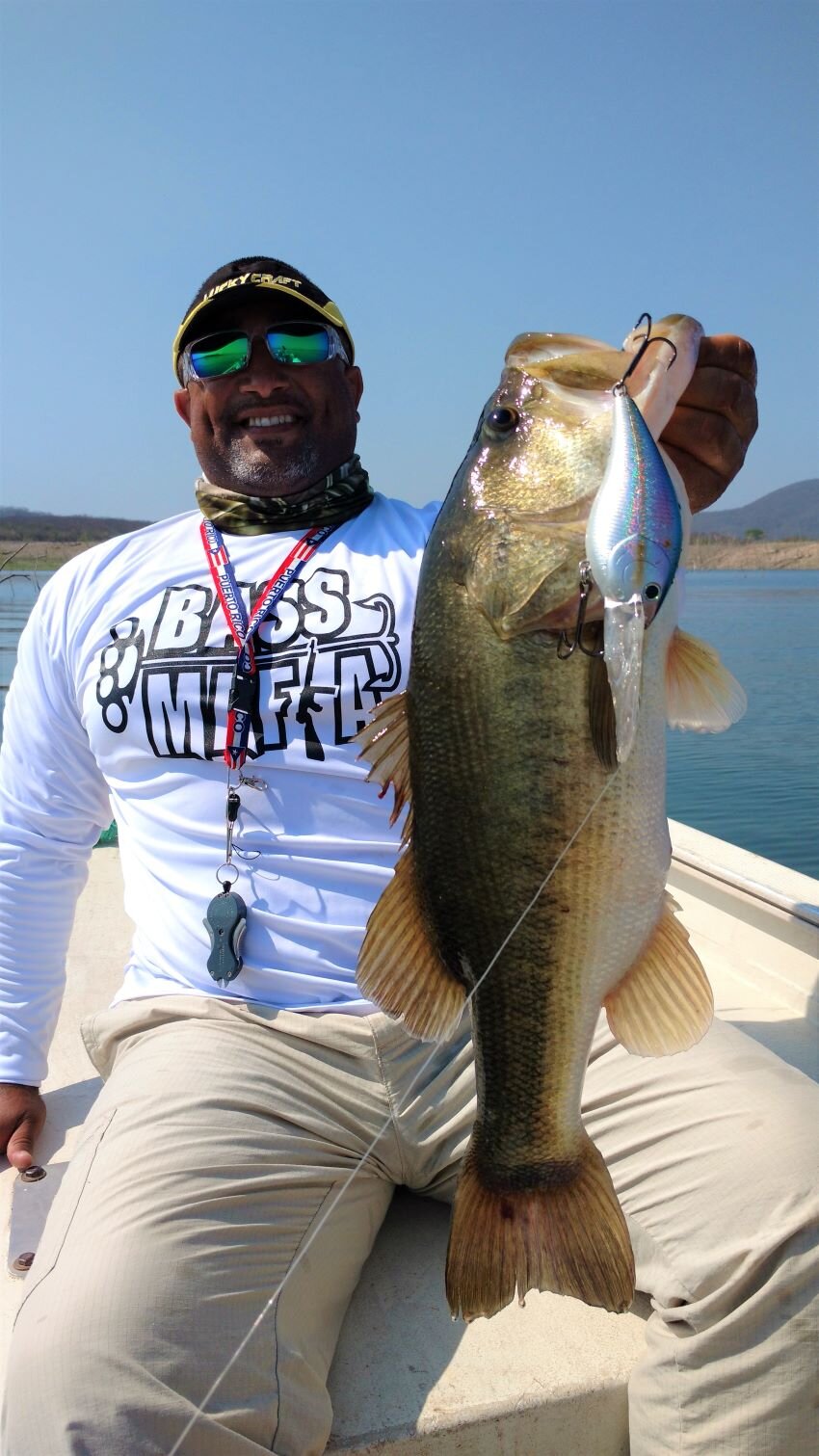 Best Ultra-Deep Diving Crankbaits for Offshore Mexican Bass — Half Past  First Cast