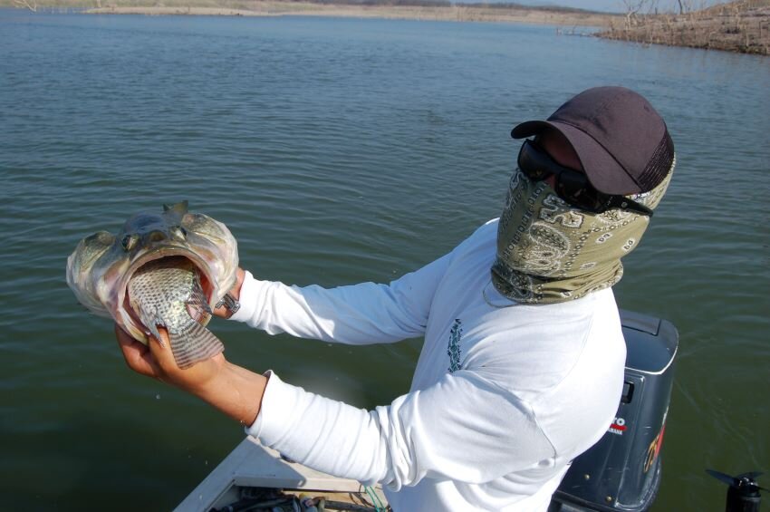 More Tilapia Lures for Mexican Largemouth Bass — Half Past First Cast