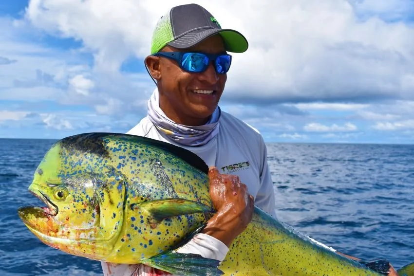 Is Mahi Mahi the World’s Best Gamefish in the World? We did our research in Panama and Guatemala