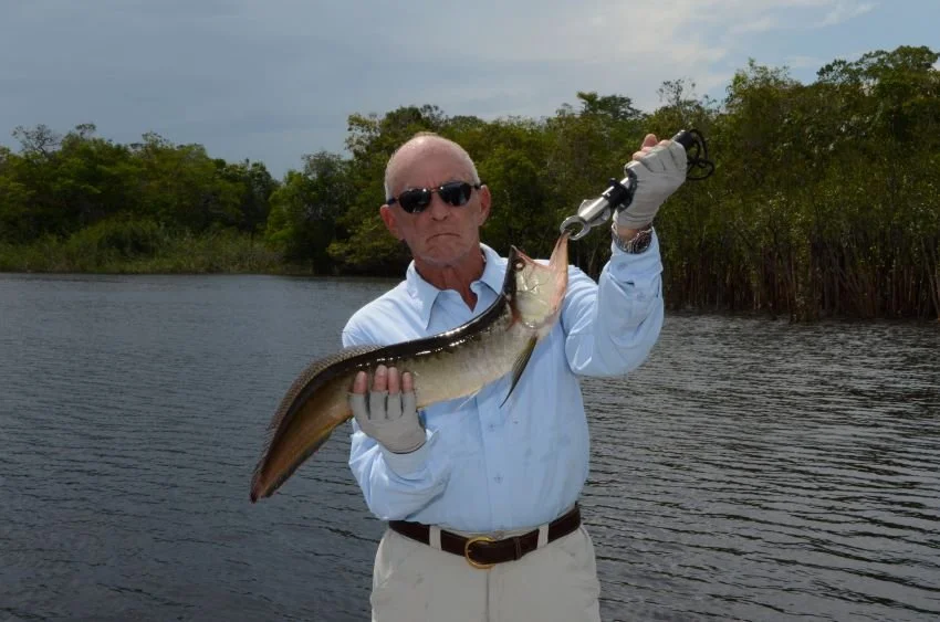 What’s Going On in South American Fishing?