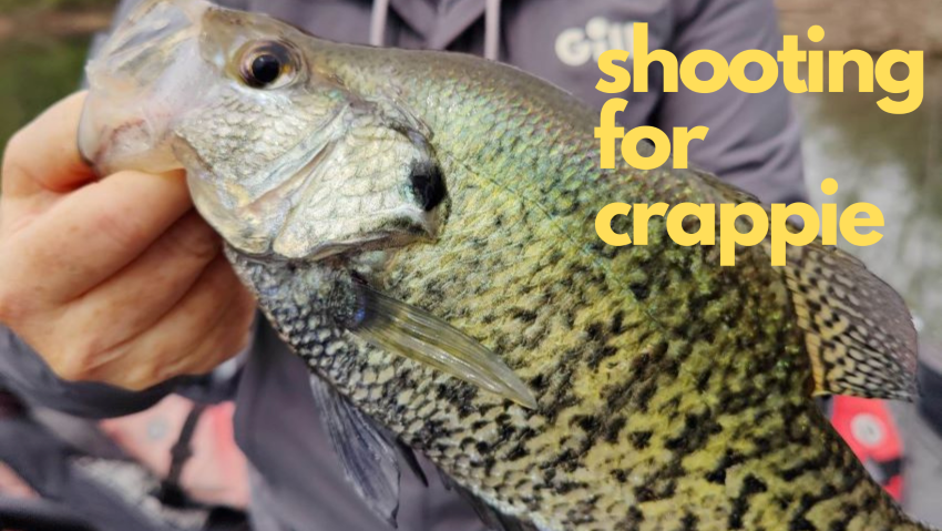 Don't Go Crappie Fishing Without THESE 3 Lures in 2023! 