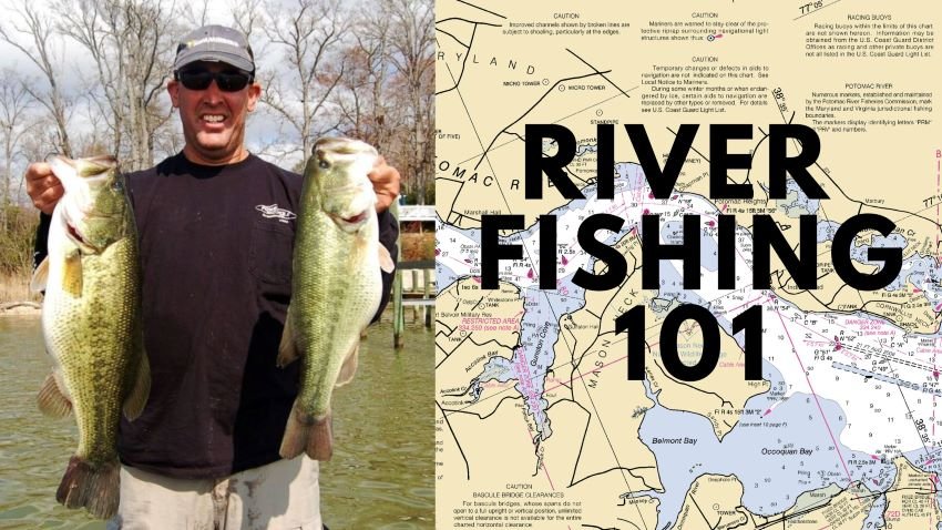 Articles About Tidal Water Bass Fishing