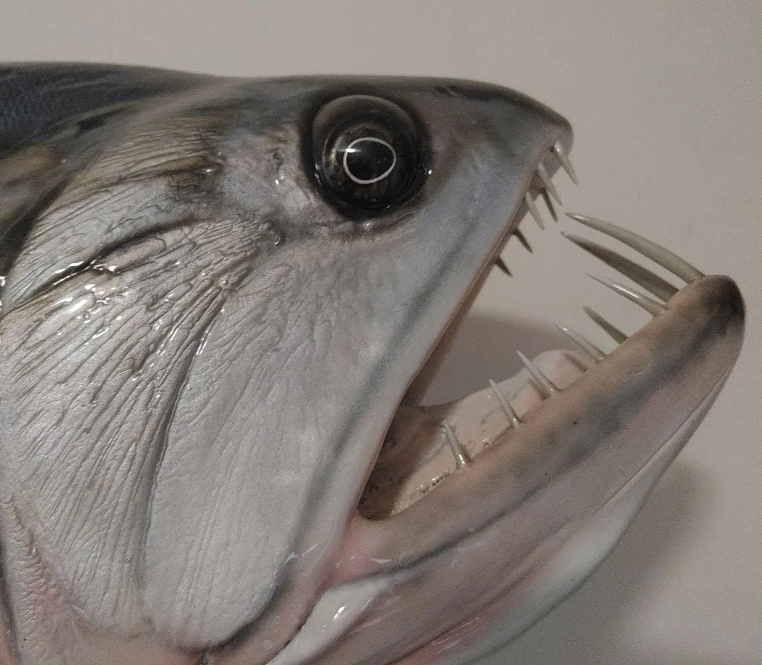 Taxidermy7.jpg