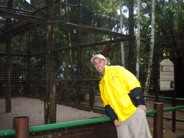 Tropical3.jpg