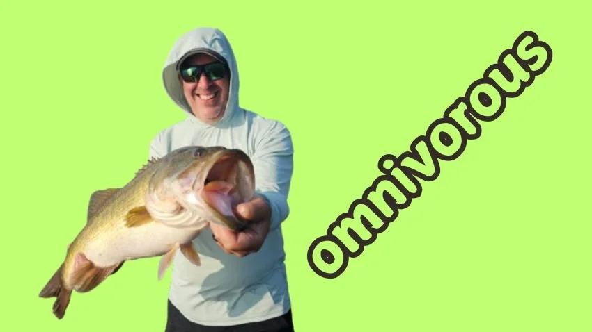 The Nine Most Unlikely Forage Imitations at Tackle Warehouse