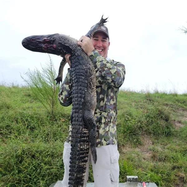 Gator4.jpg