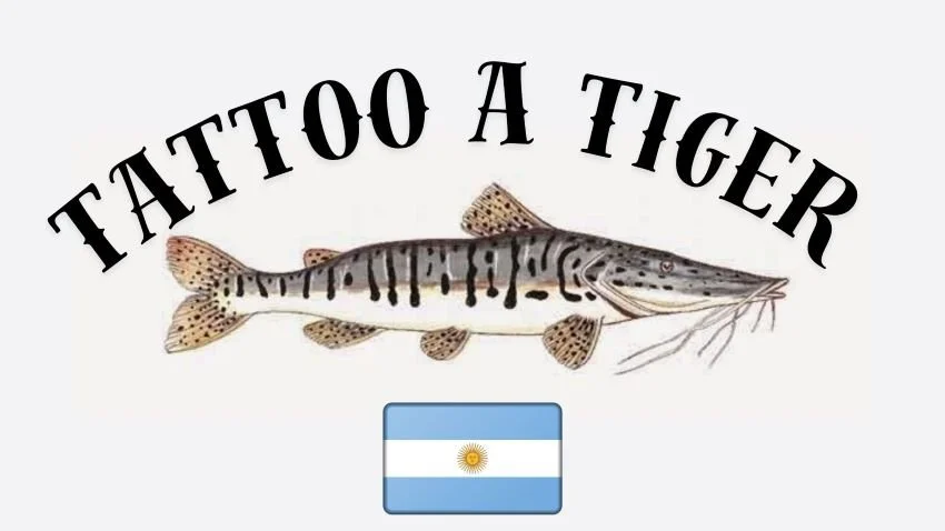 Striped and Sexy: Surubim Catfish Tattoos