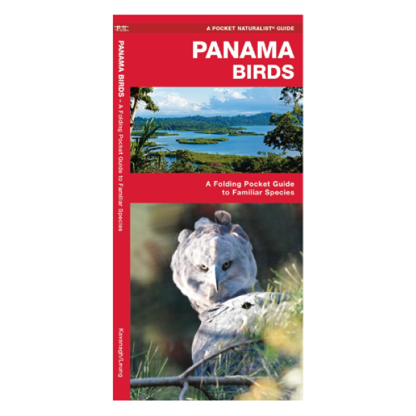 Birding4.png