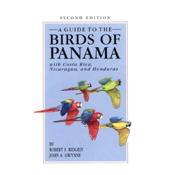 Birding5.png