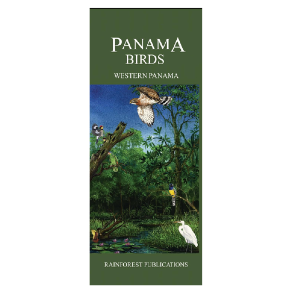 Birding6.png