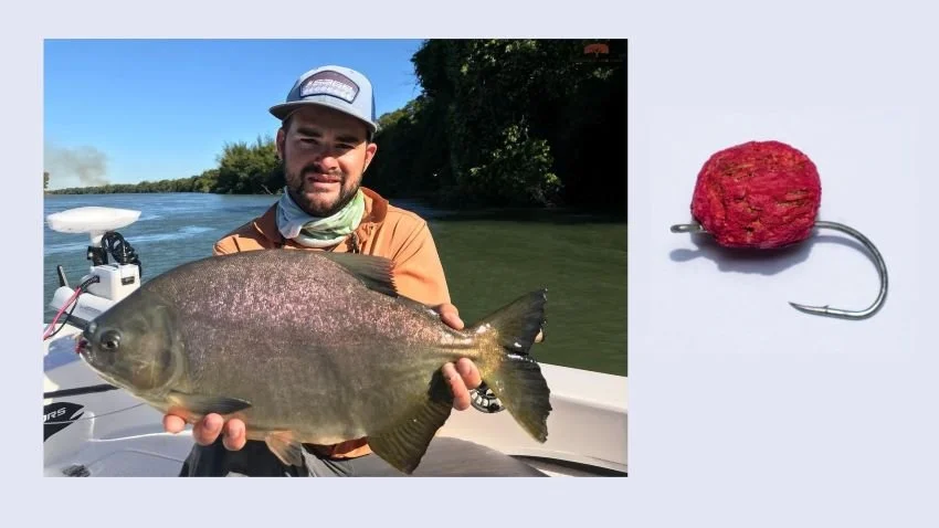 Why Pacu Belong on Your Argentina Fishing and Food Journey