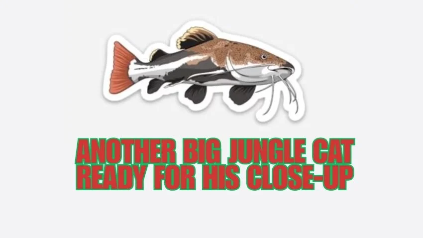 Redtail Catfish Tattoos: Inked Tributes to an Amazonian Brawler