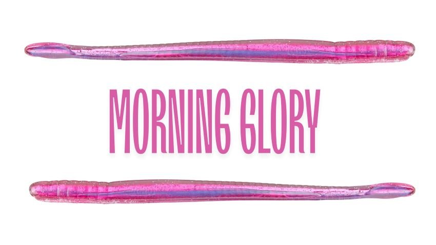 More-Ning Dawn