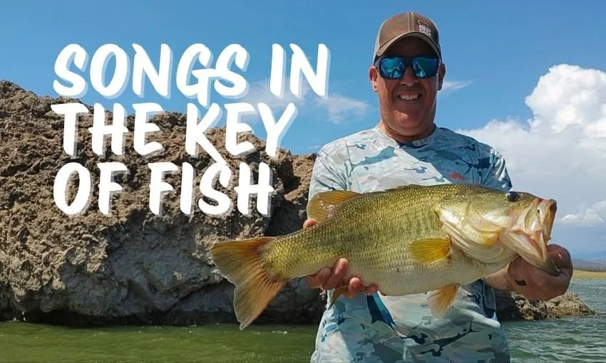 Music That Conjures Up the Best Fishing Memories