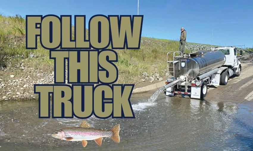 In Praise of Hatchery Trout for Giant Bass