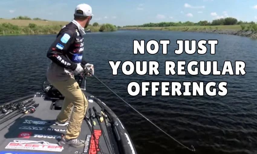 Big Baits and JDM Tackle that Got Paid on the 2025 Bassmaster Elite Series