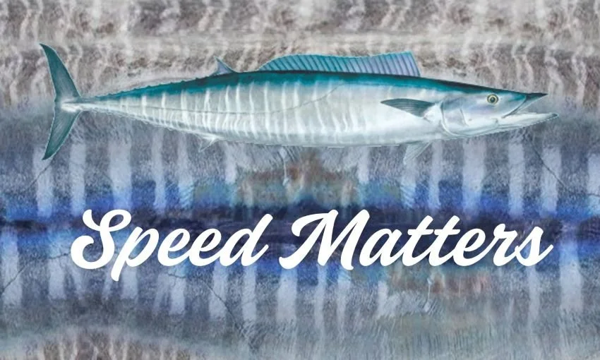 Top Wahoo Shirts: Celebrate the Ocean’s Fastest Fish in Style