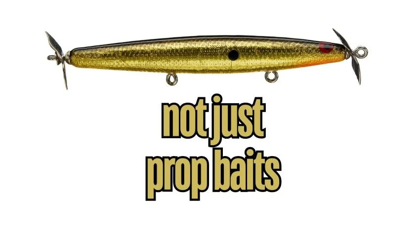 Take Your Golden Shiner for a Walk