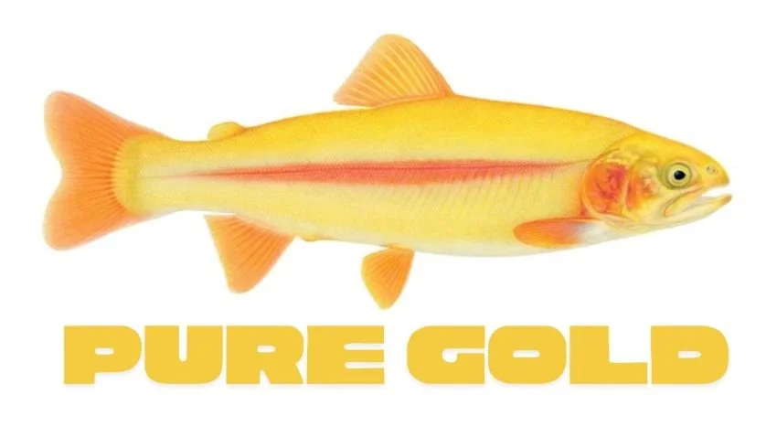 Chasing Gold: Palomino and Golden Trout Replicas That’ll Stop You in Your Tracks