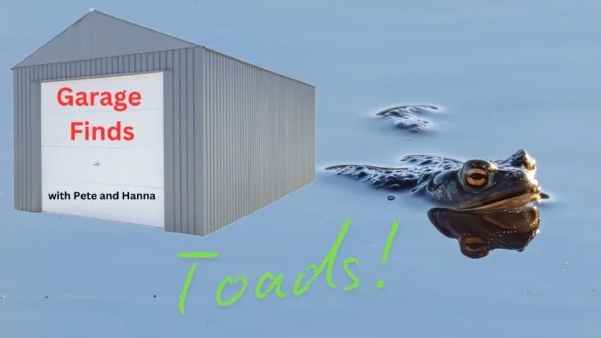 Garage Finds – Toadally Awesome