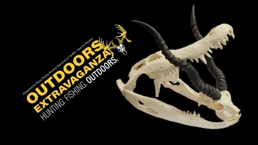 My Favorite Taxidermy at the 2026 Texas Trophy Hunters Outdoor Extravaganza