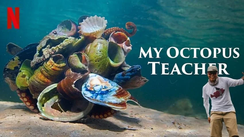 Oliver Ngy’s Big Lobster and Octopus Dreams