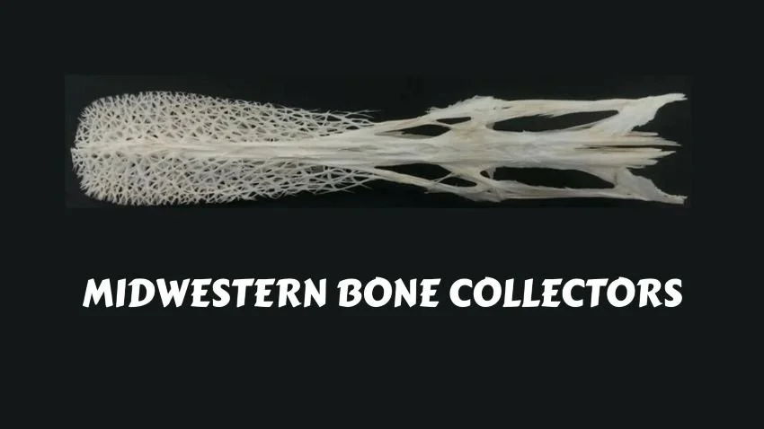 The Distinctive Craft of Paddlefish Taxidermy