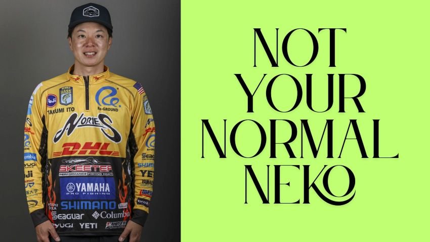 Taku Ito’s Bluegill Neko Rig