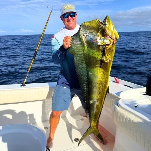 MultiPanama Mahi.jpg