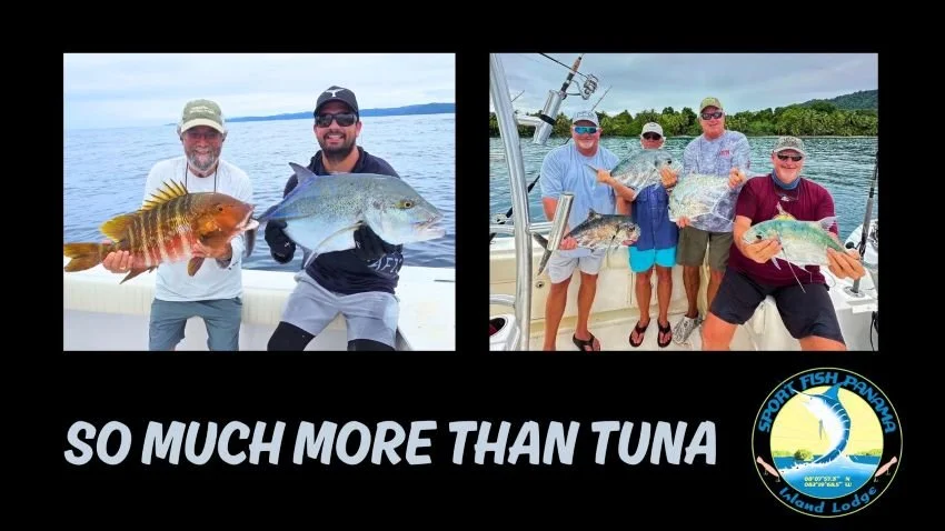 WHAT ELSE did we catch in Panama in May?