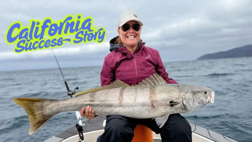 Ghost Hunting -- Our First Experience with White Seabass 