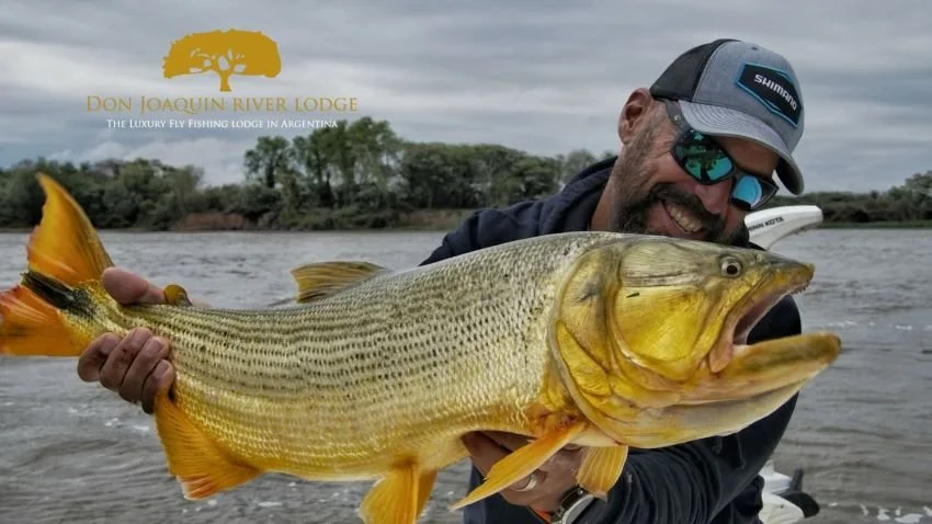 JP DeRose's Recommended Tackle for Golden Dorado at Don Joaquin River Lodge