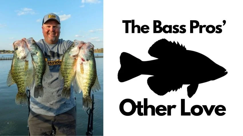 The Secret Training Tool of Elite Bass Anglers: Crappie Fishing