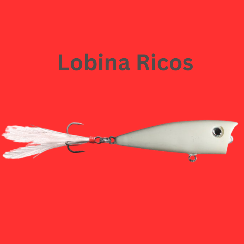 lacb1.png