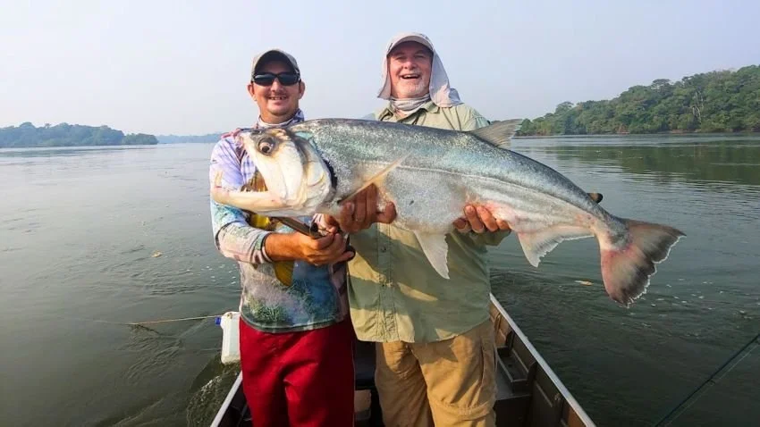 Trophy payara Mato Grosso Brazil