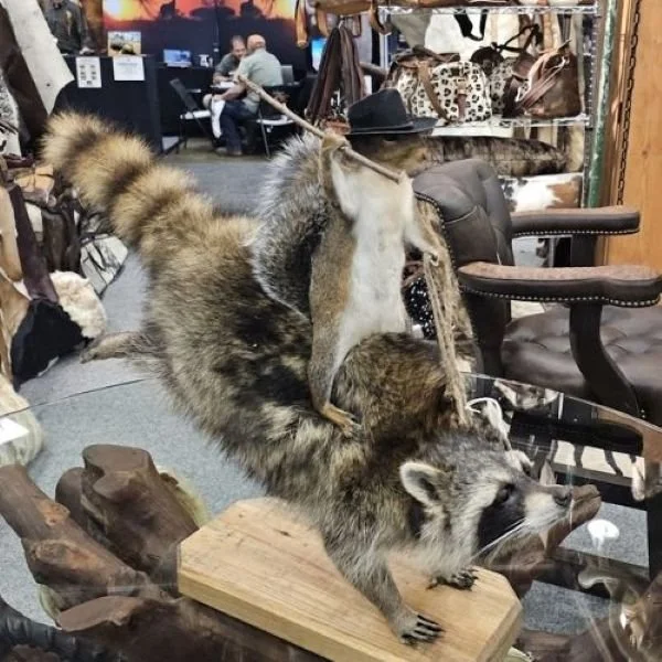 Mounted Squirrel with a hat riding a mounted raccoon