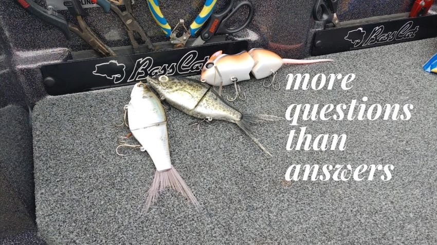 Take the Latest Got Bait? Fishing Quiz 