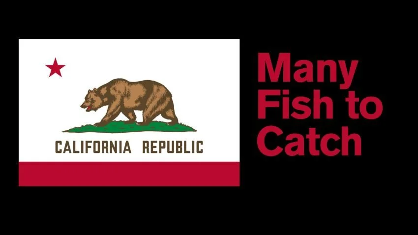 California flag over a black background