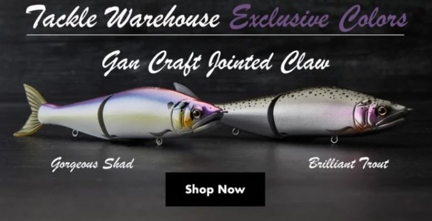 Tackle Warehouse Exclusive Colors of the Gan Craft Jointed Claw — Half Past  First Cast