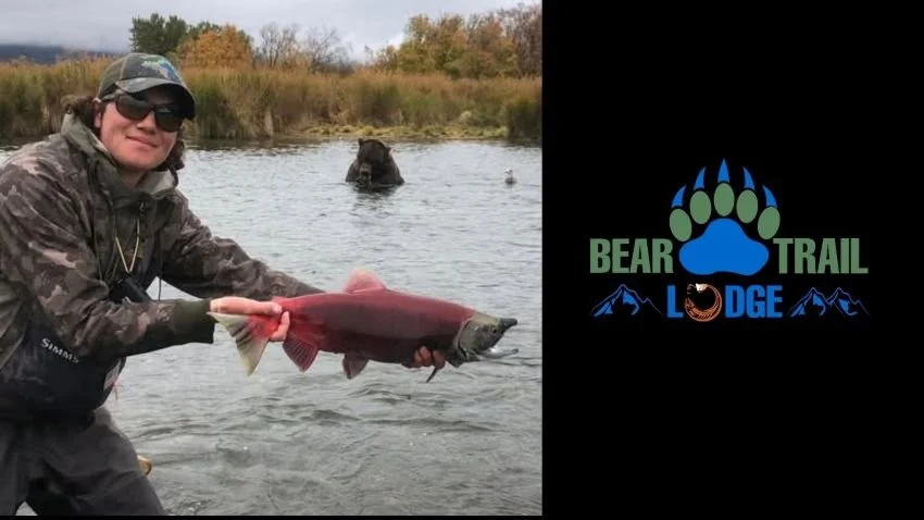 Releasing a sockeye salmon in Bristol Bay with a bear watching