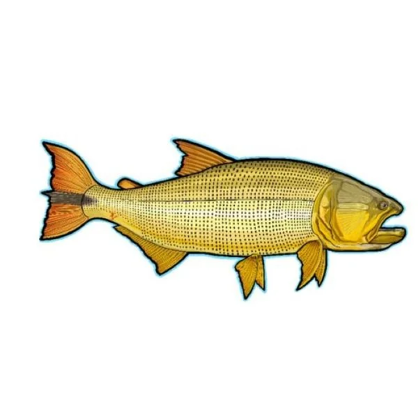 Elaine Jensen Golden Dorado Decal Fly Slaps