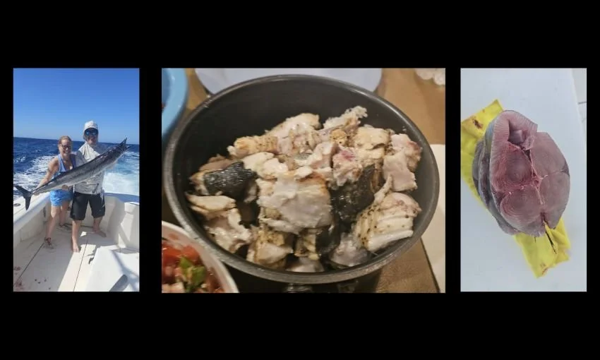 Fresh wahoo tacos Caliente Magdalena Bay