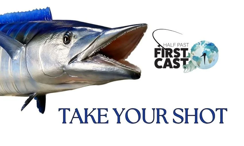 Head of a trophy wahoo replica mount