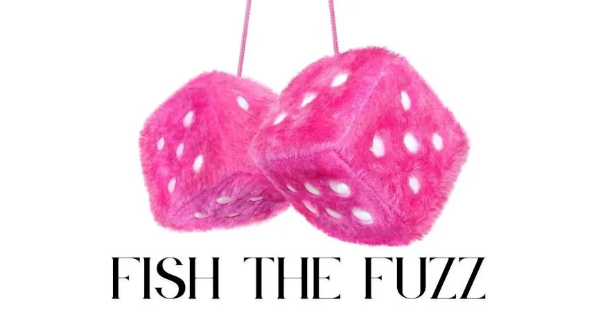 Two pink fuzzy dice hanging