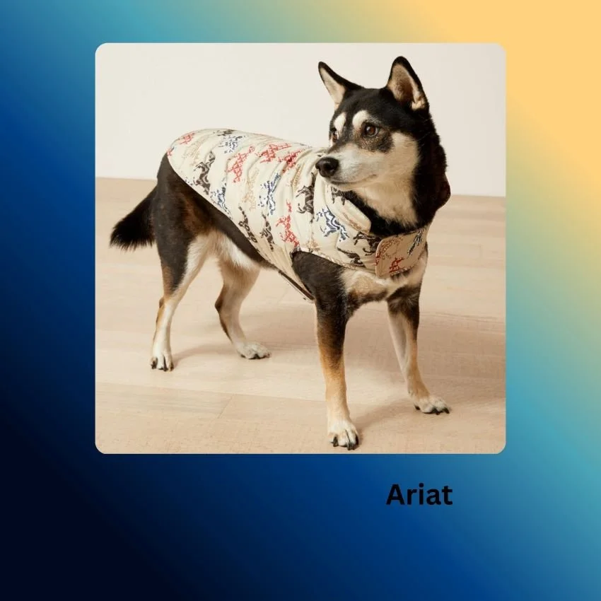 Ariat Pup Puffer Jacket on a small dog